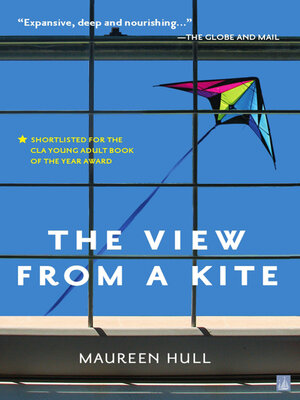 cover image of The View From a Kite
